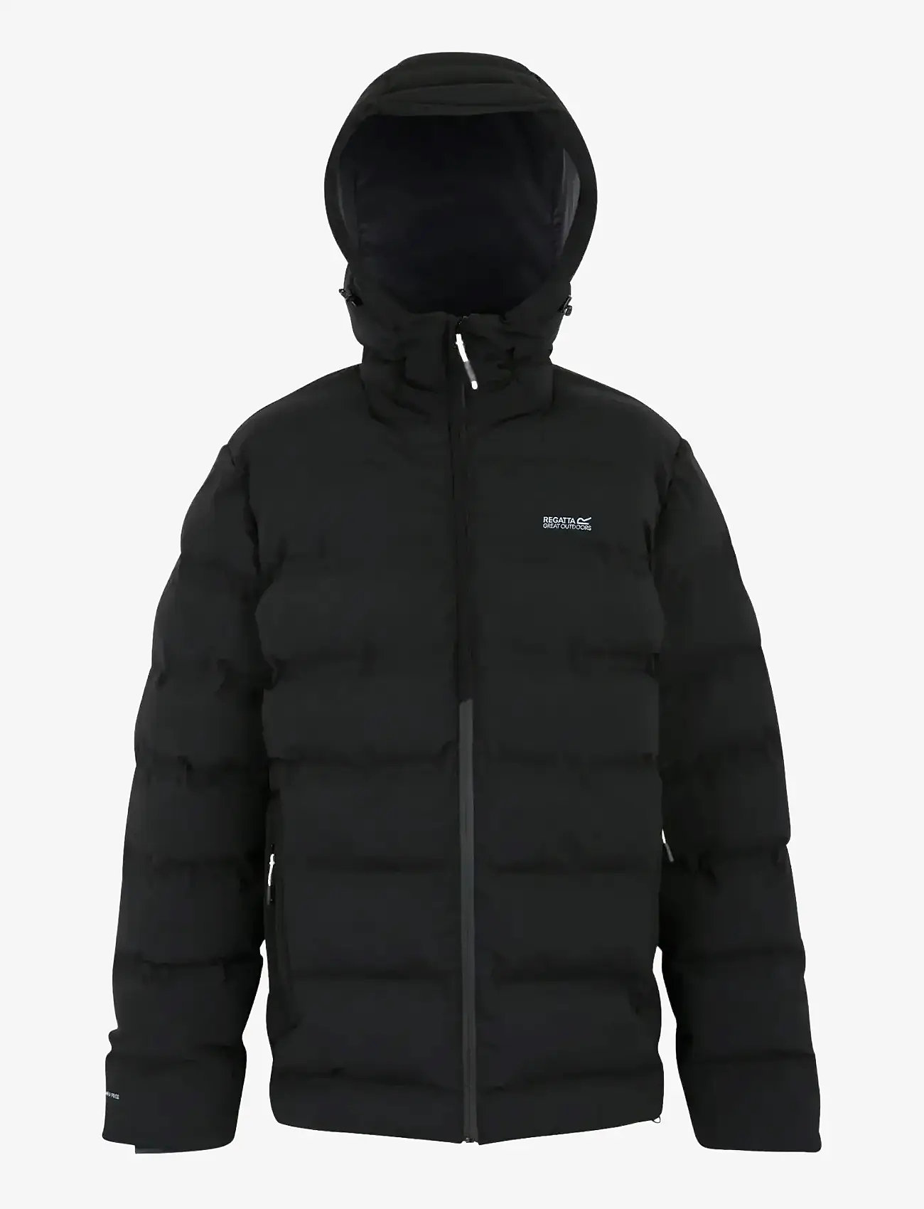 Regatta - Altoro Thermal - down jackets - black - 1