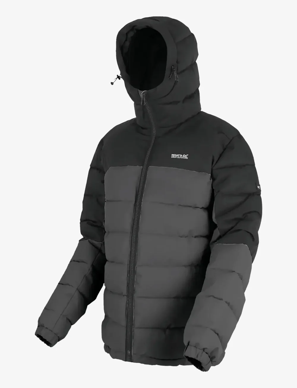 Regatta - Aldthorn - vinterjakker - ash/black - 3