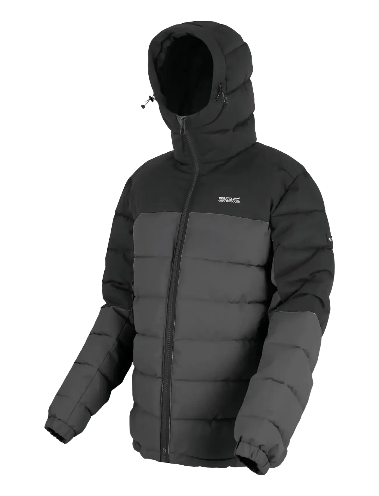 Regatta - Aldthorn - dunjackor - ash/black - 3
