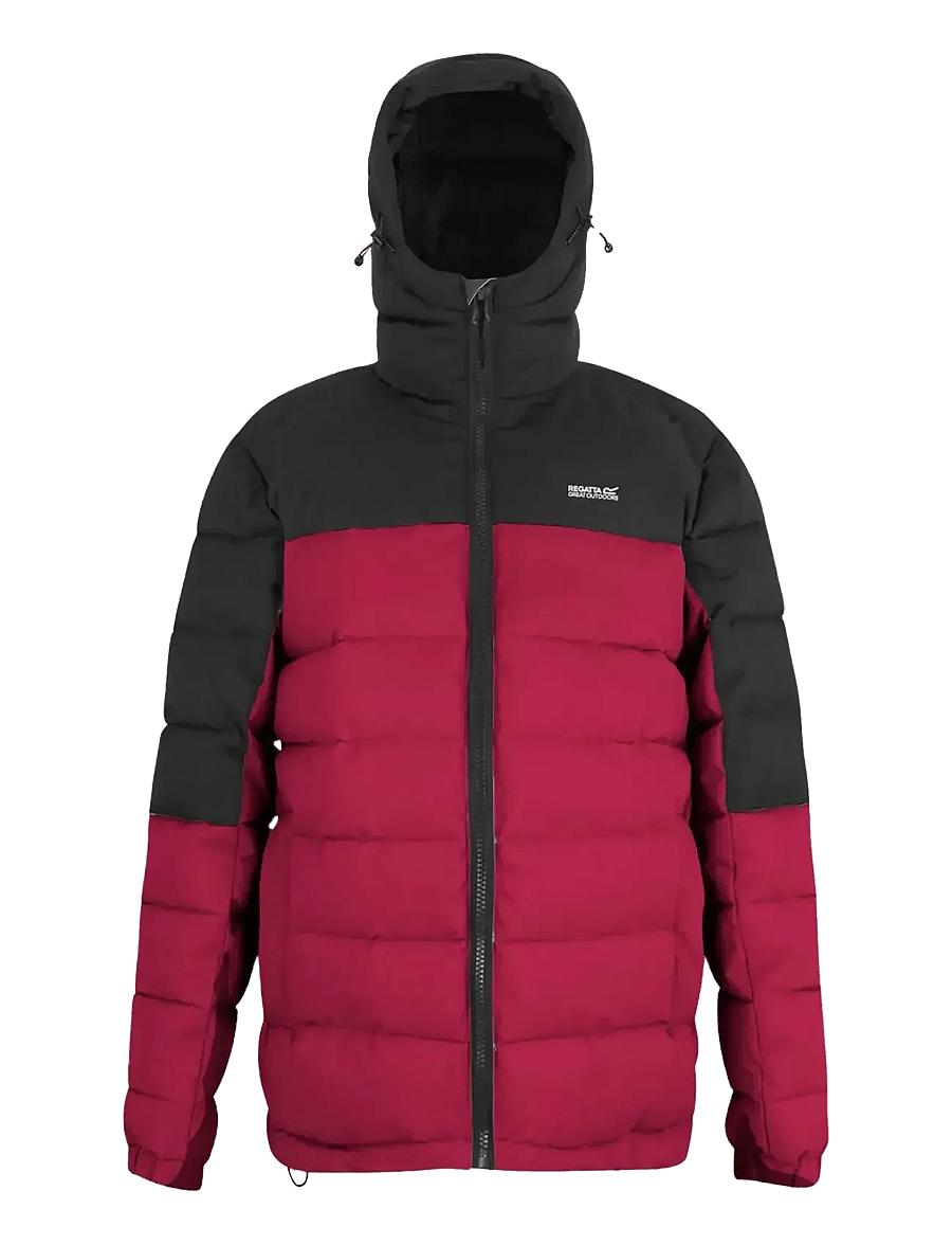 Regatta - Aldthorn - dunjakker - dark maroon/black - 1