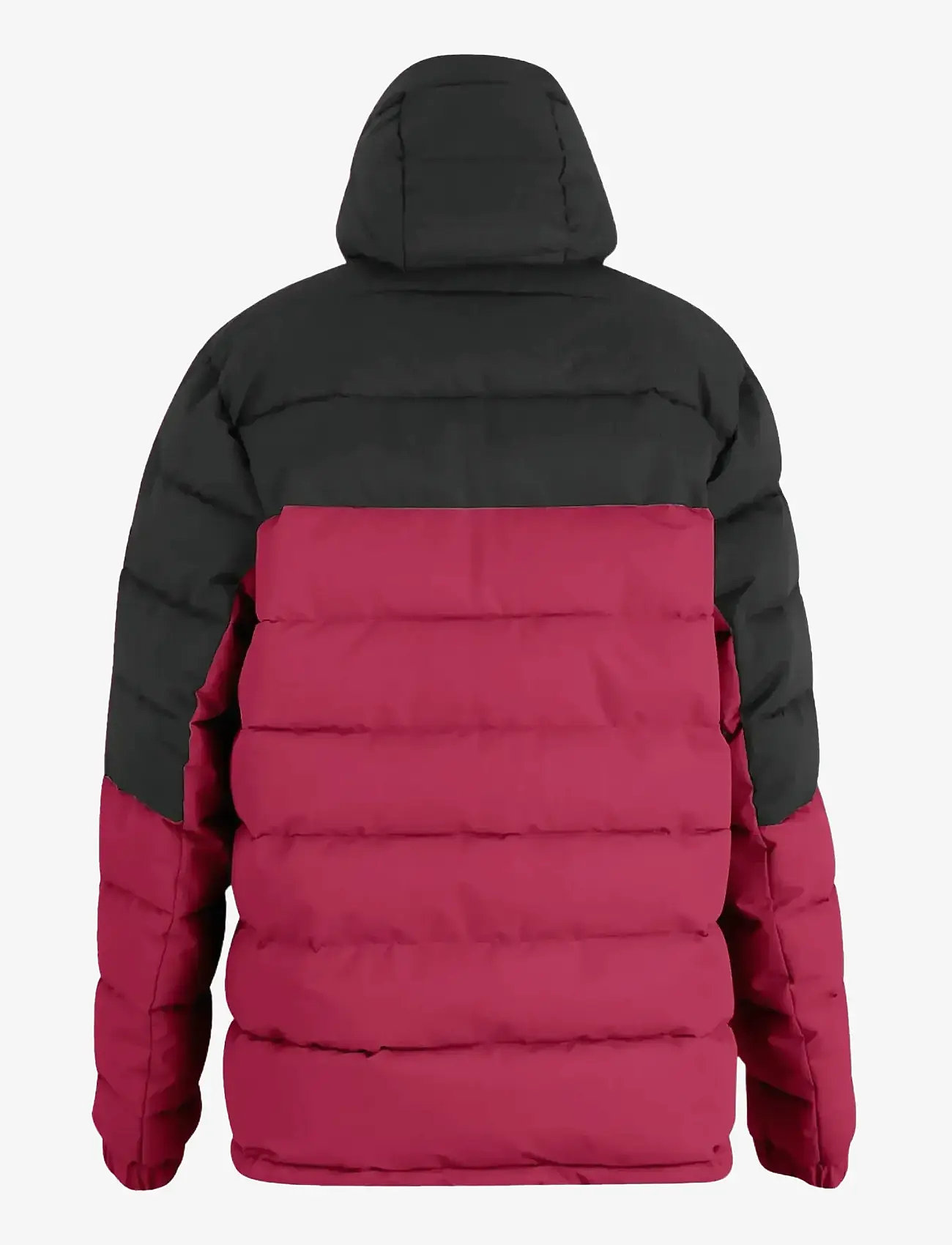 Regatta - Aldthorn - winterjacken - dark maroon/black - 2