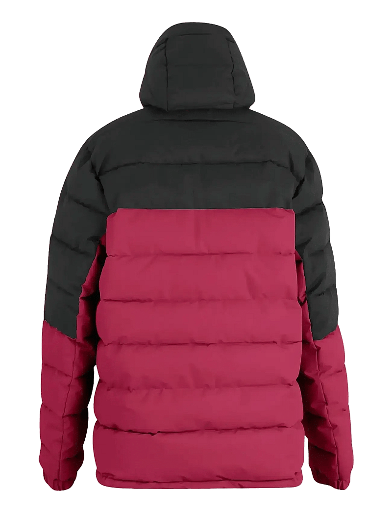 Regatta - Aldthorn - winterjacken - dark maroon/black - 2