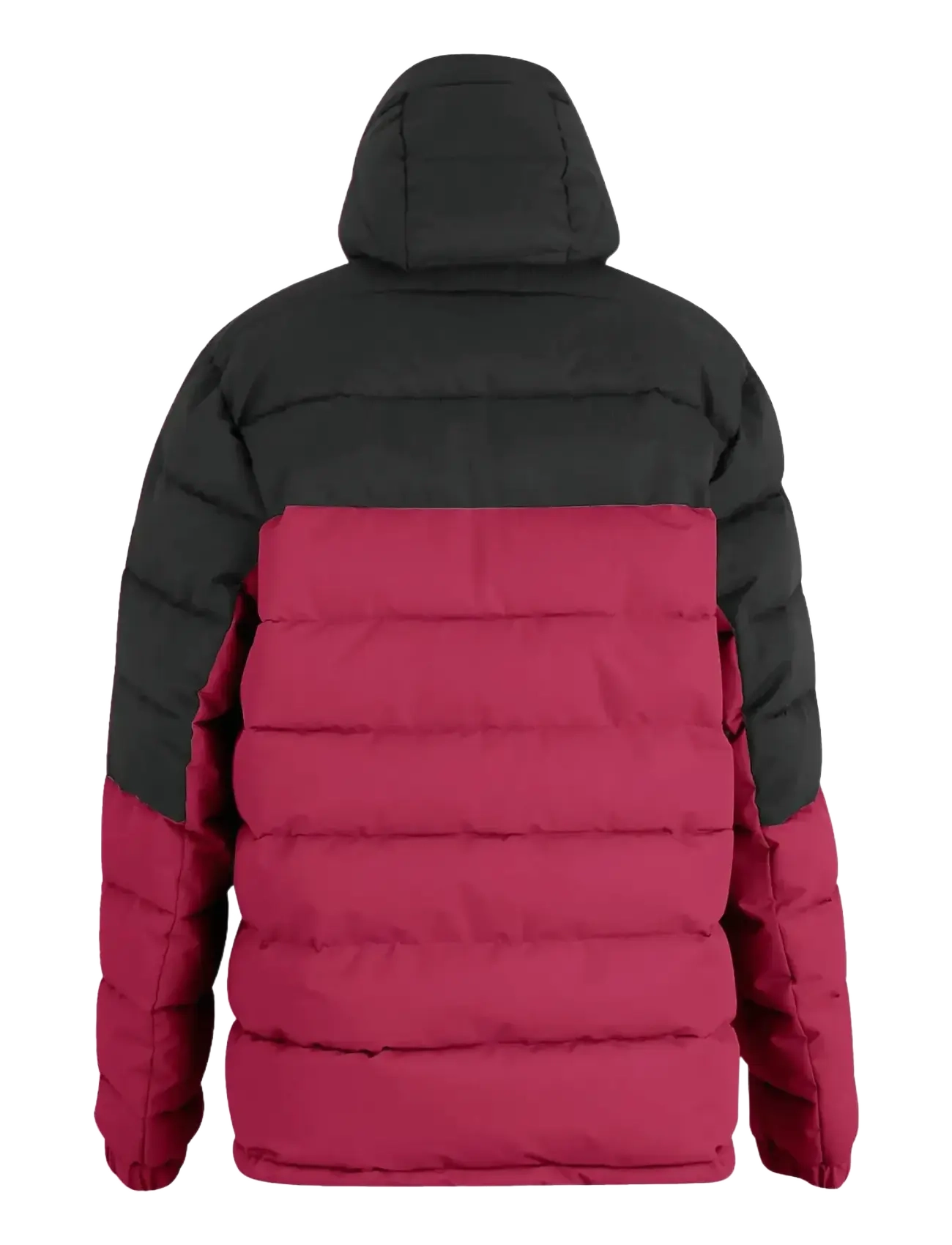 Regatta - Aldthorn - dunjakker - dark maroon/black - 2