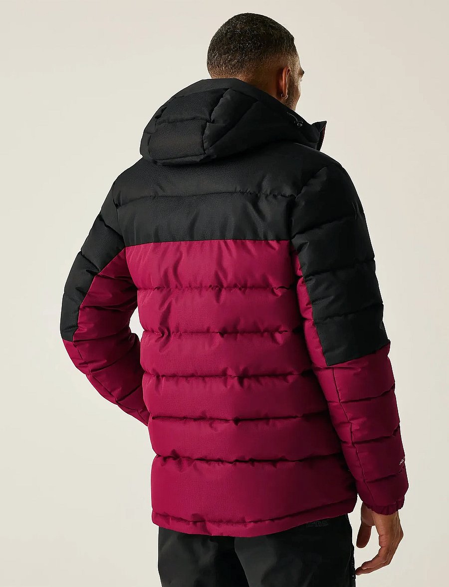 Regatta - Aldthorn - dunjakker - dark maroon/black - 3