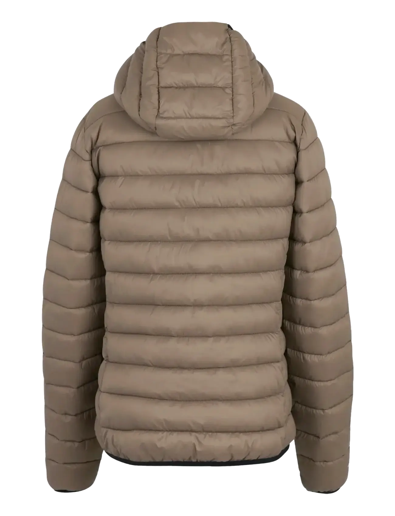 Regatta - Women's Hood Marizion - friluftsjakker - mocha - 2