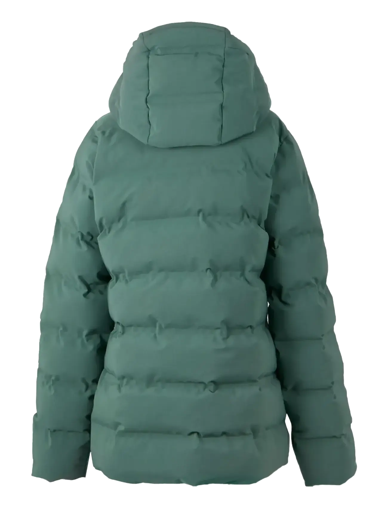 Regatta - WmsAltoroTml - vinterjakker - spruce green - 2