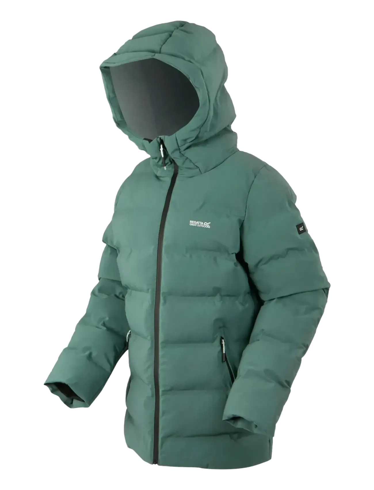 Regatta - WmsAltoroTml - vinterjakker - spruce green - 3