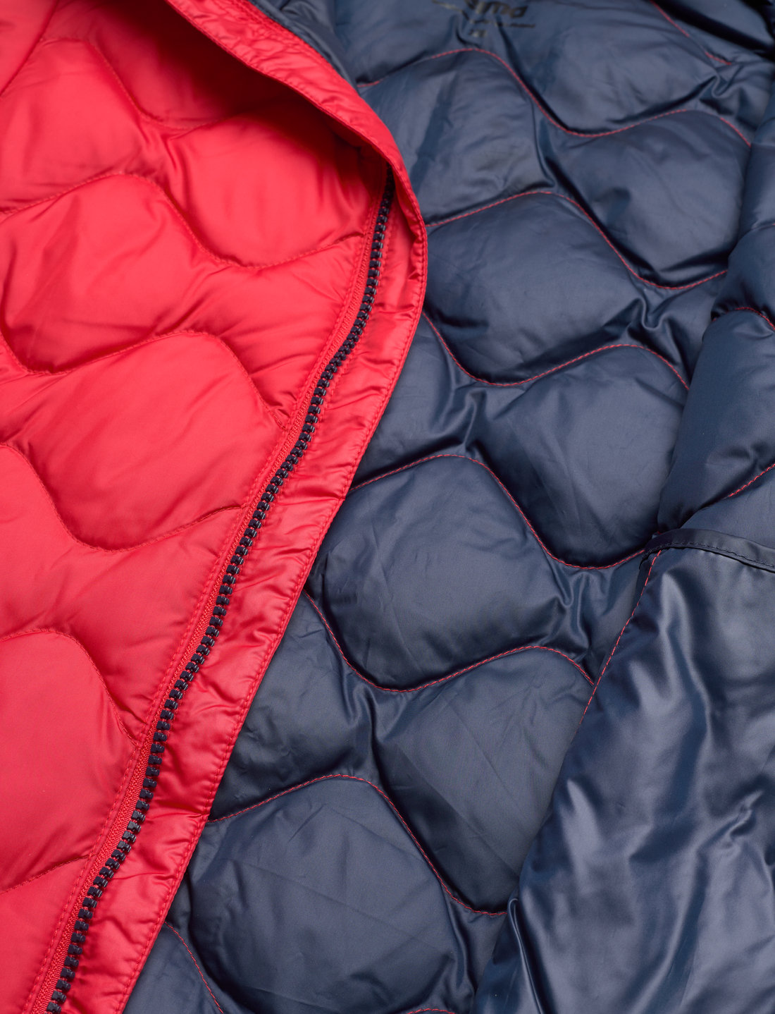 Colorful sales down jackets