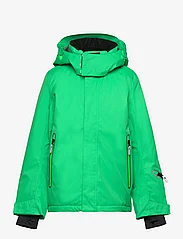 Reima - Reimatec winter jacket, Kairala - winterjacken - cat eye green - 0