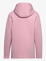 Reima - Sweater, Toimekas - medvilniniai megztiniai ir džemperiai su gobtuvu - grey pink - 1