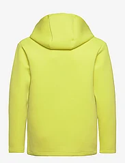 Reima - Sweater, Toimekas - medvilniniai megztiniai ir džemperiai su gobtuvu - yellow green - 1