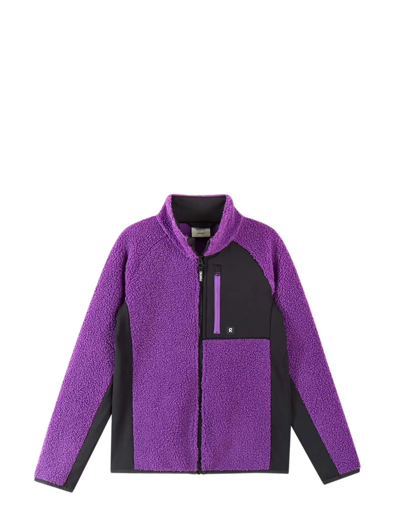 PLUM PURPLE
