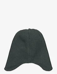 Reima - Beanie, Pipopaa - winter hats - thyme green - 1
