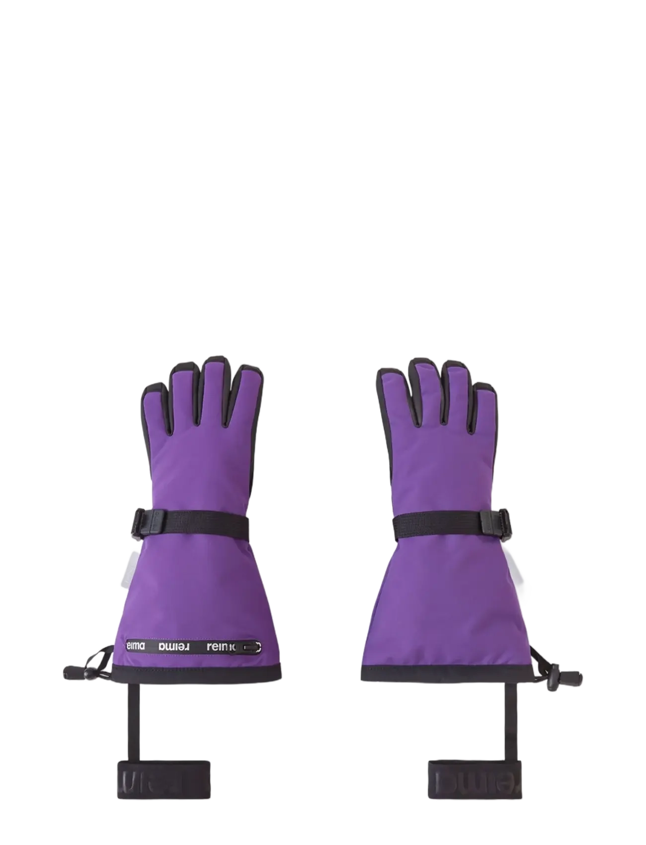 PLUM PURPLE