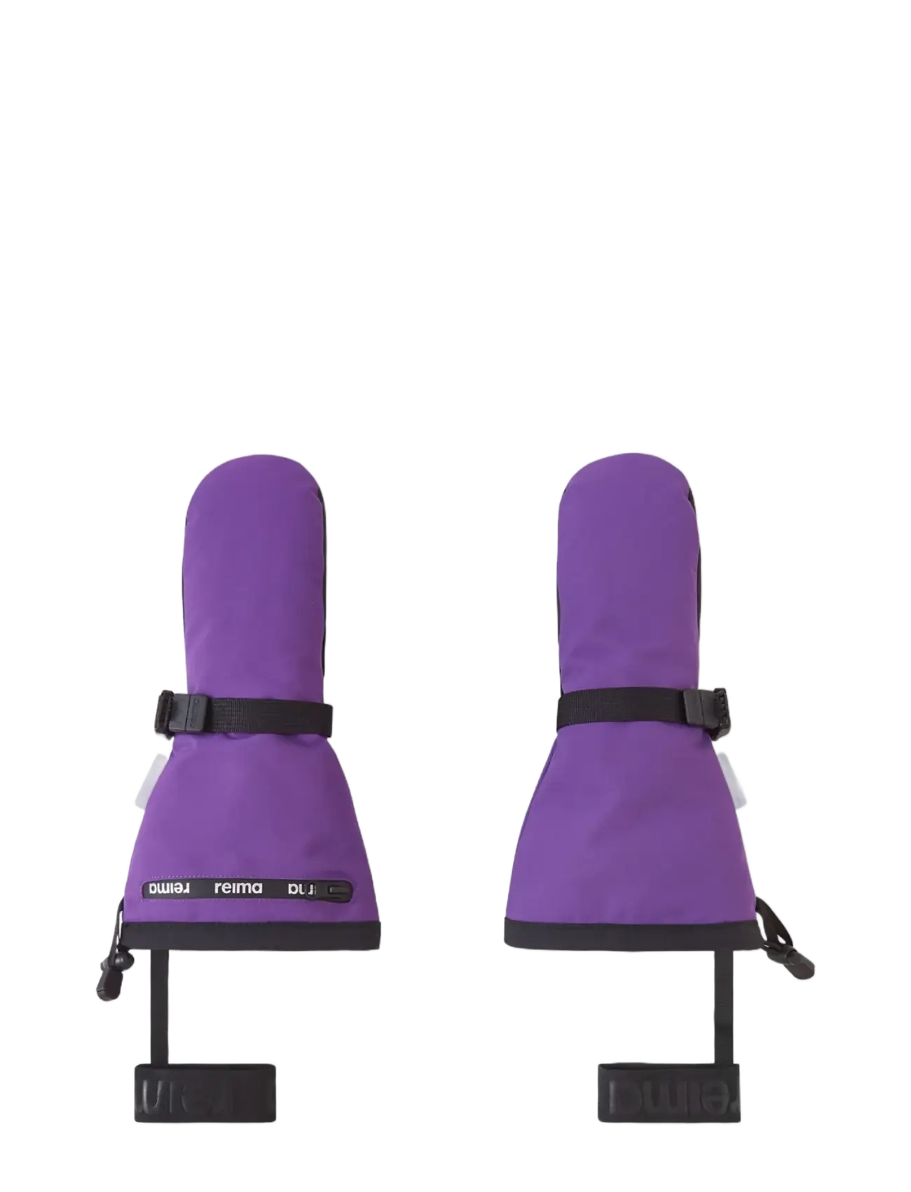 PLUM PURPLE