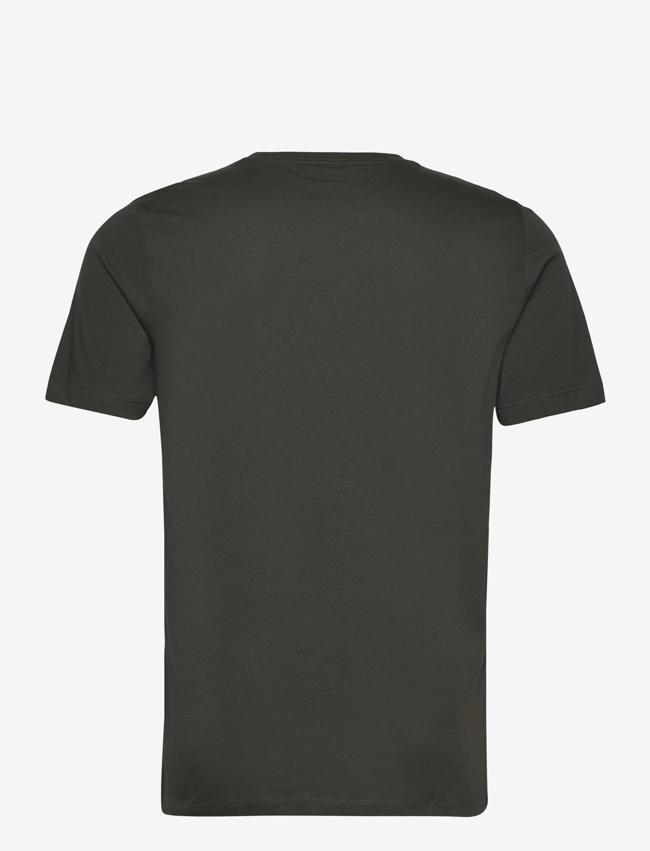 Reiss - BLESS - lühikeste varrukatega t-särgid - oxidised green - 2