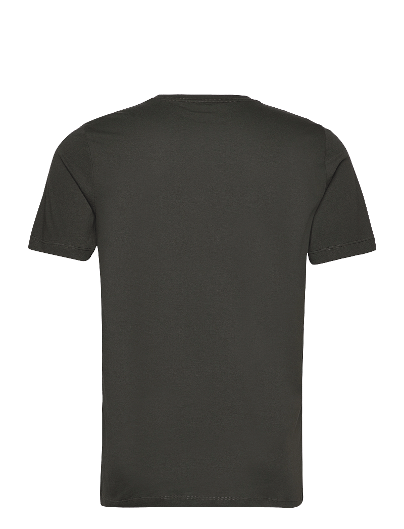 Reiss - BLESS - lühikeste varrukatega t-särgid - oxidised green - 2