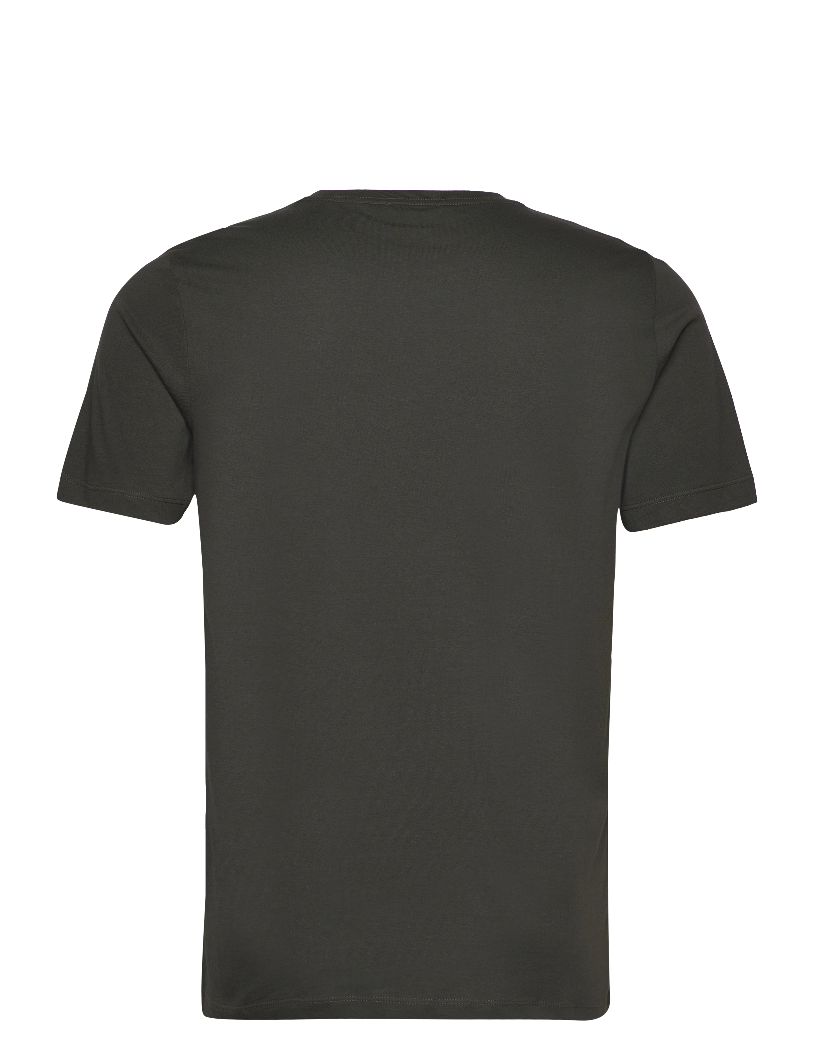 Reiss - BLESS - lühikeste varrukatega t-särgid - oxidised green - 2