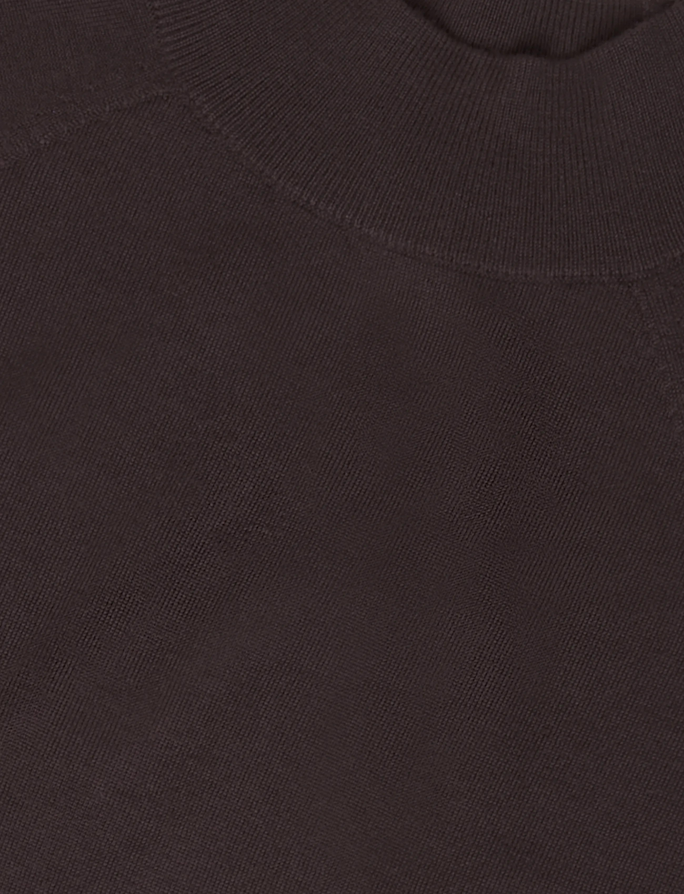 Reiss - SIENNA MERINO HEAVYWEIGHT TEE - striktrøjer - grape burgundy - 2