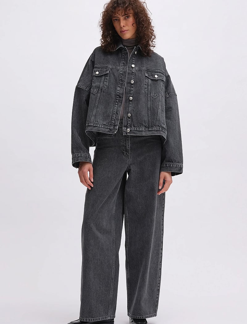 REMAIN Birger Christensen - DRAPY BACK DENIM JACKET - denimjakker - frost gray - 0