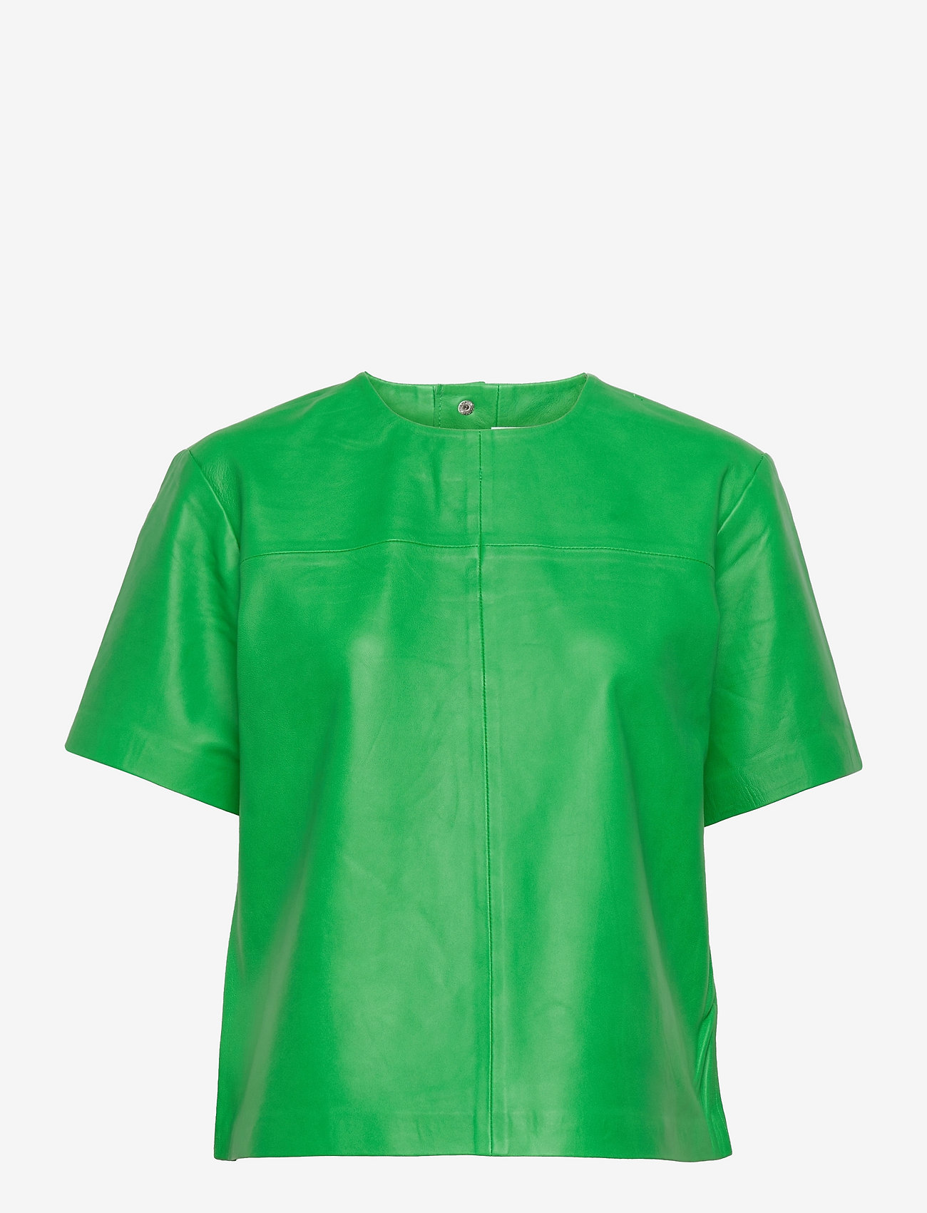 FERN GREEN