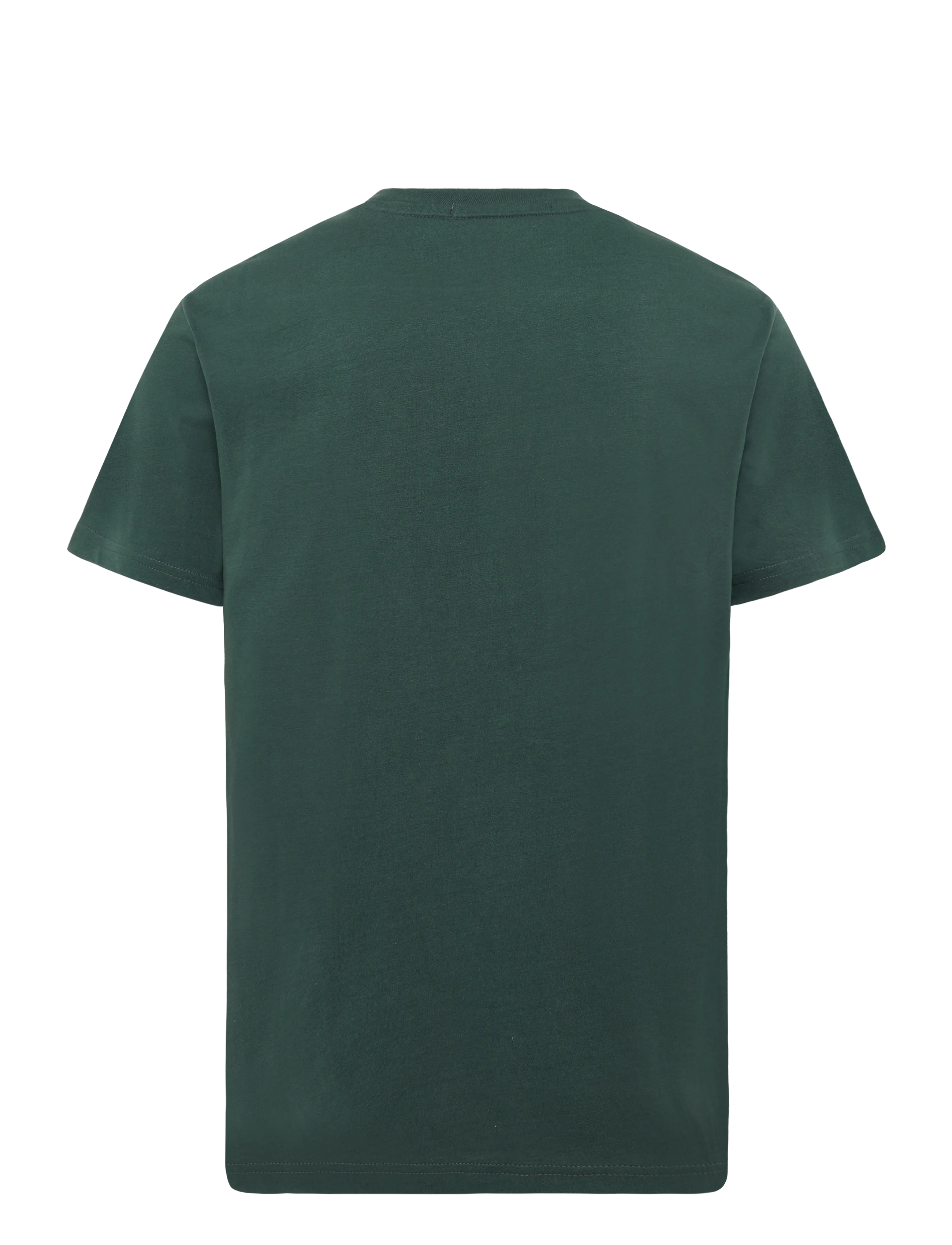 Replay - REGULAR   JERSEY T-Shirt - green - 2