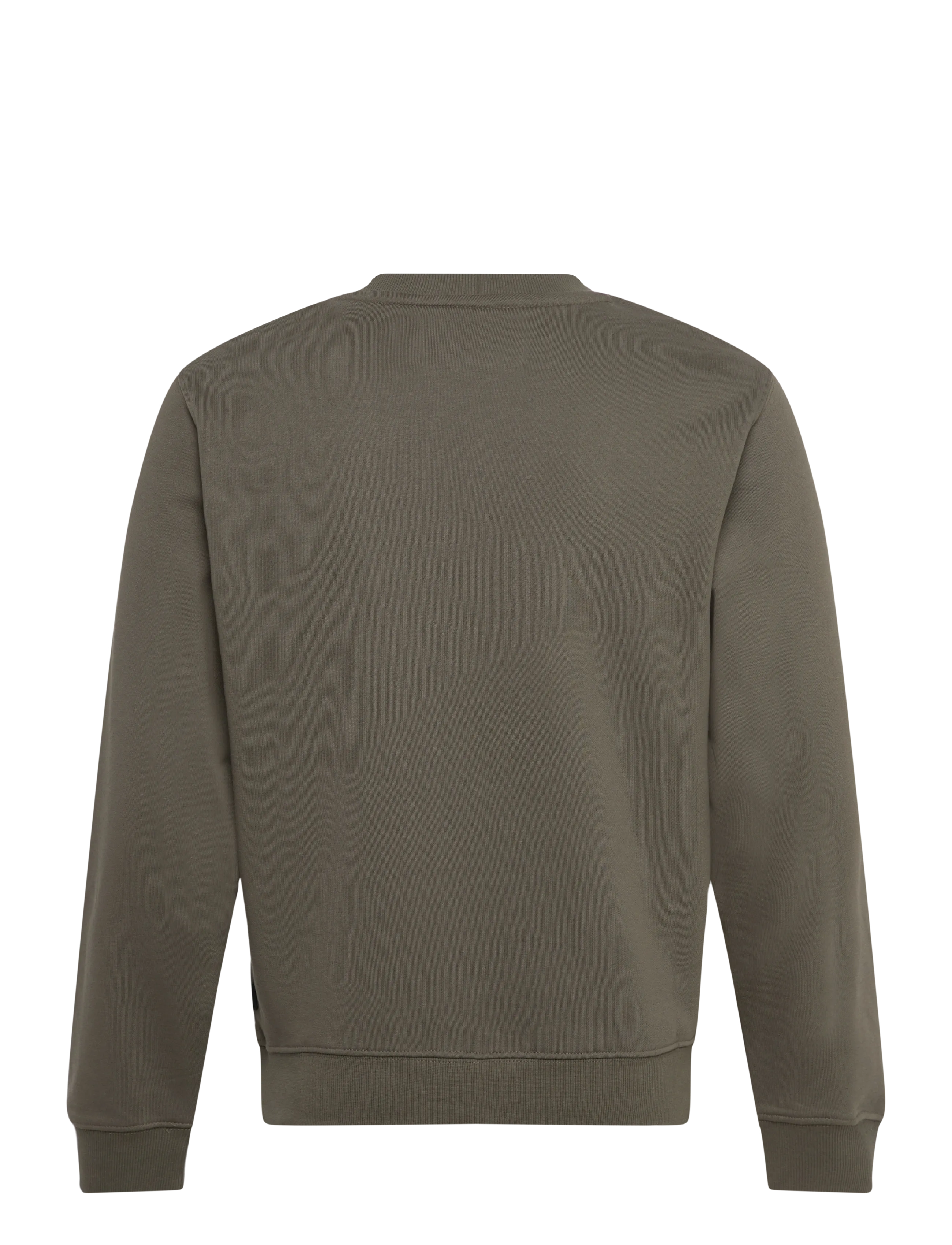 Replay - Jumper REGULAR Replay Basics - sweatshirts - green - 2