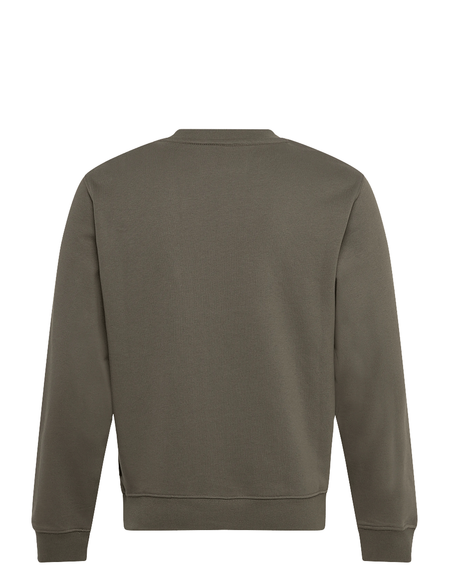 Replay - Jumper REGULAR Replay Basics - sweatshirts - green - 2