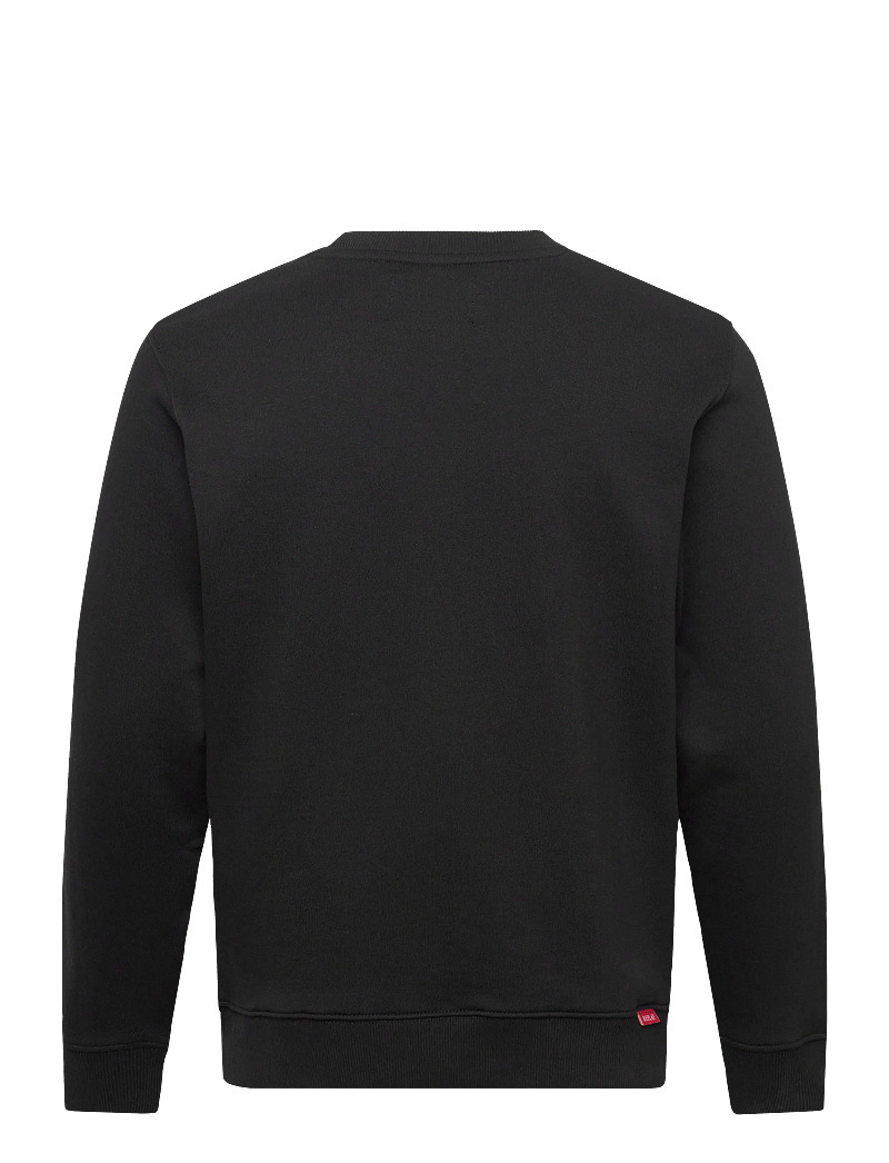Replay - Jumper REGULAR RED LOGO - sweatshirts - black - 2