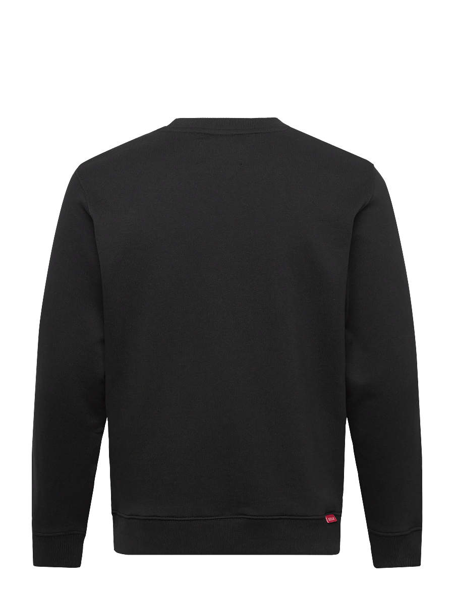 Replay - Jumper REGULAR RED LOGO - sweatshirts - black - 2
