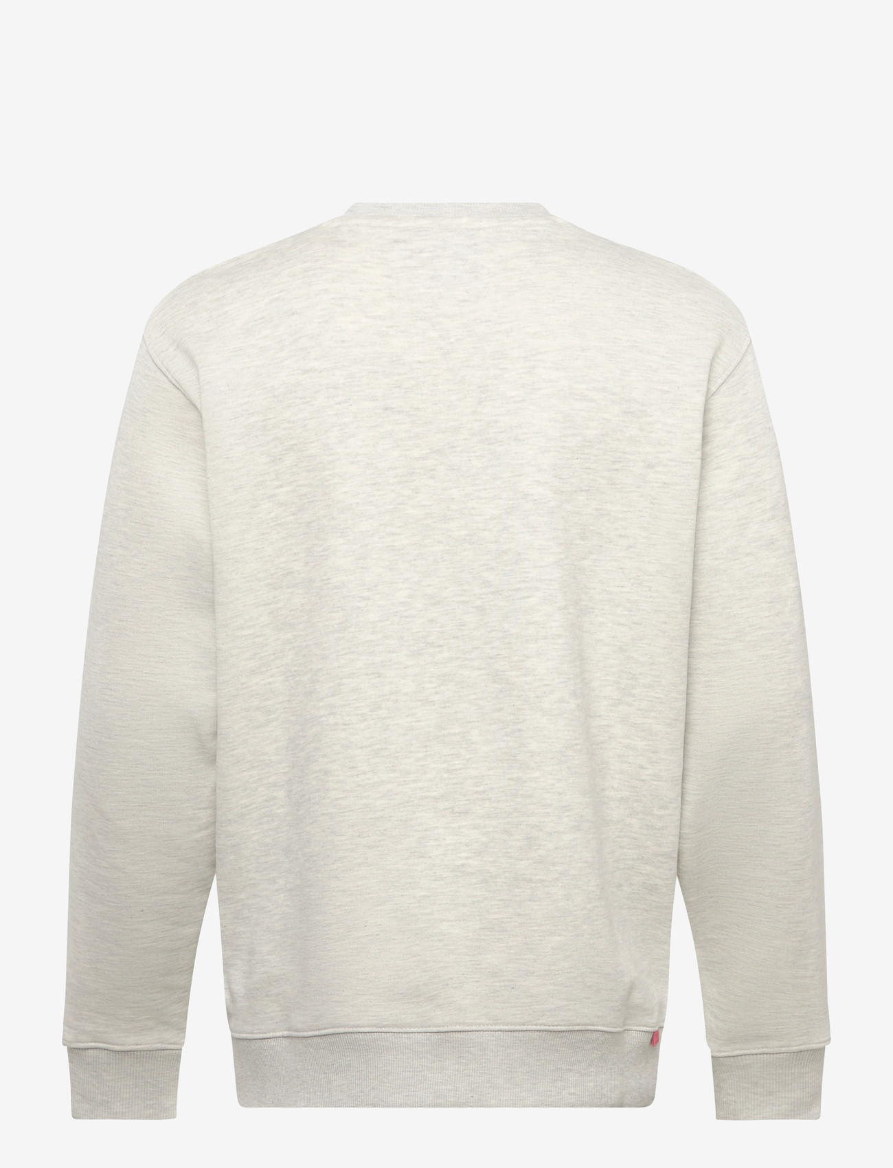 Replay - Jumper REGULAR RED LOGO - dressipluusid - grey - 2