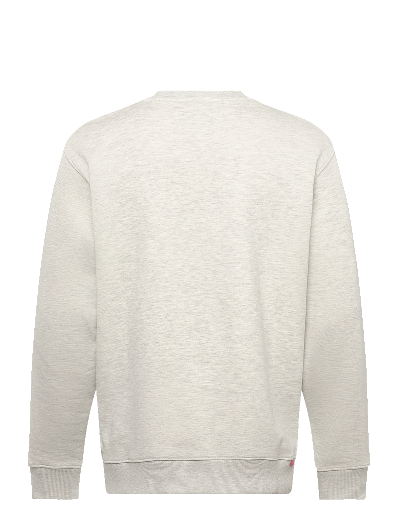 Replay - Jumper REGULAR RED LOGO - sweatshirts - grey - 2