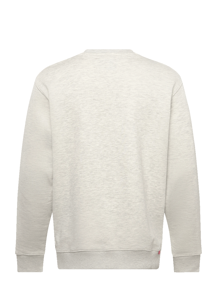 Replay - Jumper REGULAR RED LOGO - sweatshirts - grey - 2