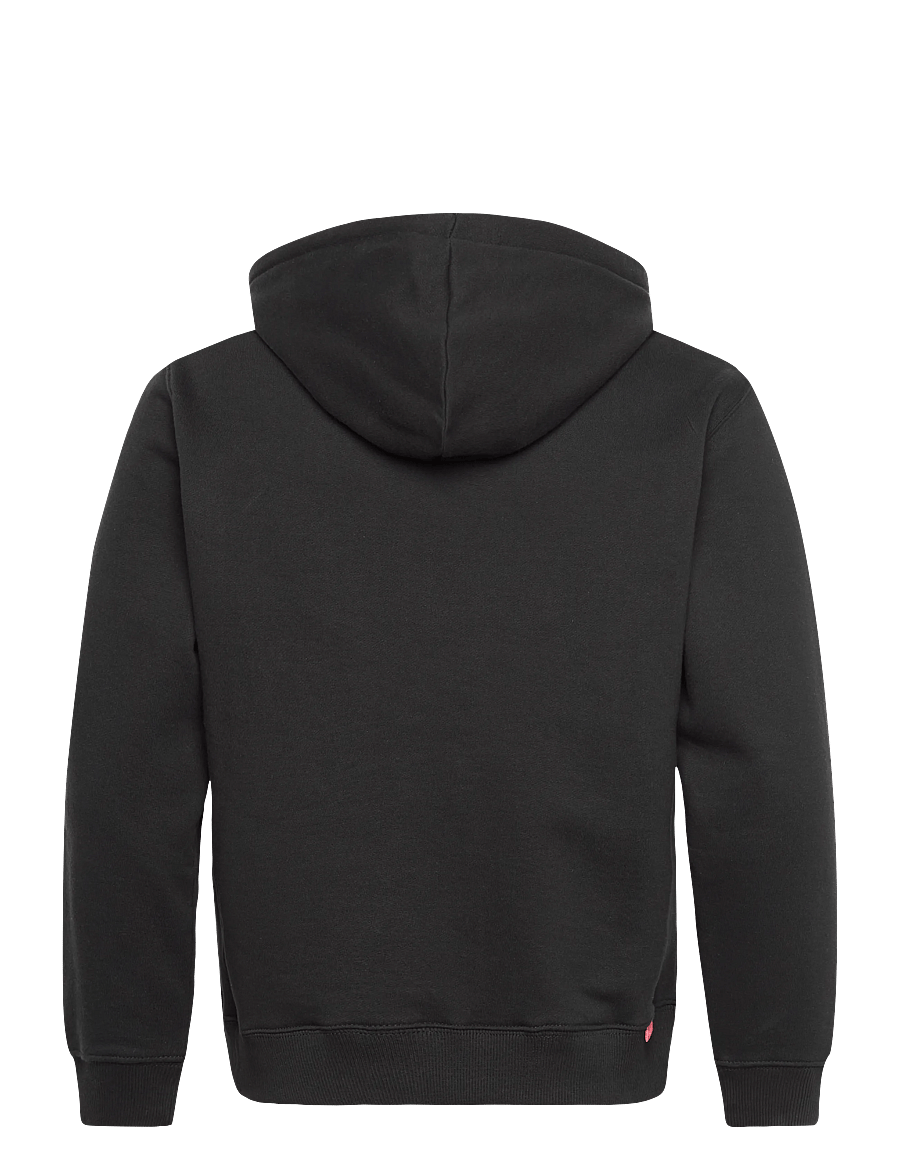 Replay - Jumper REGULAR RED LOGO - hoodies - black - 2