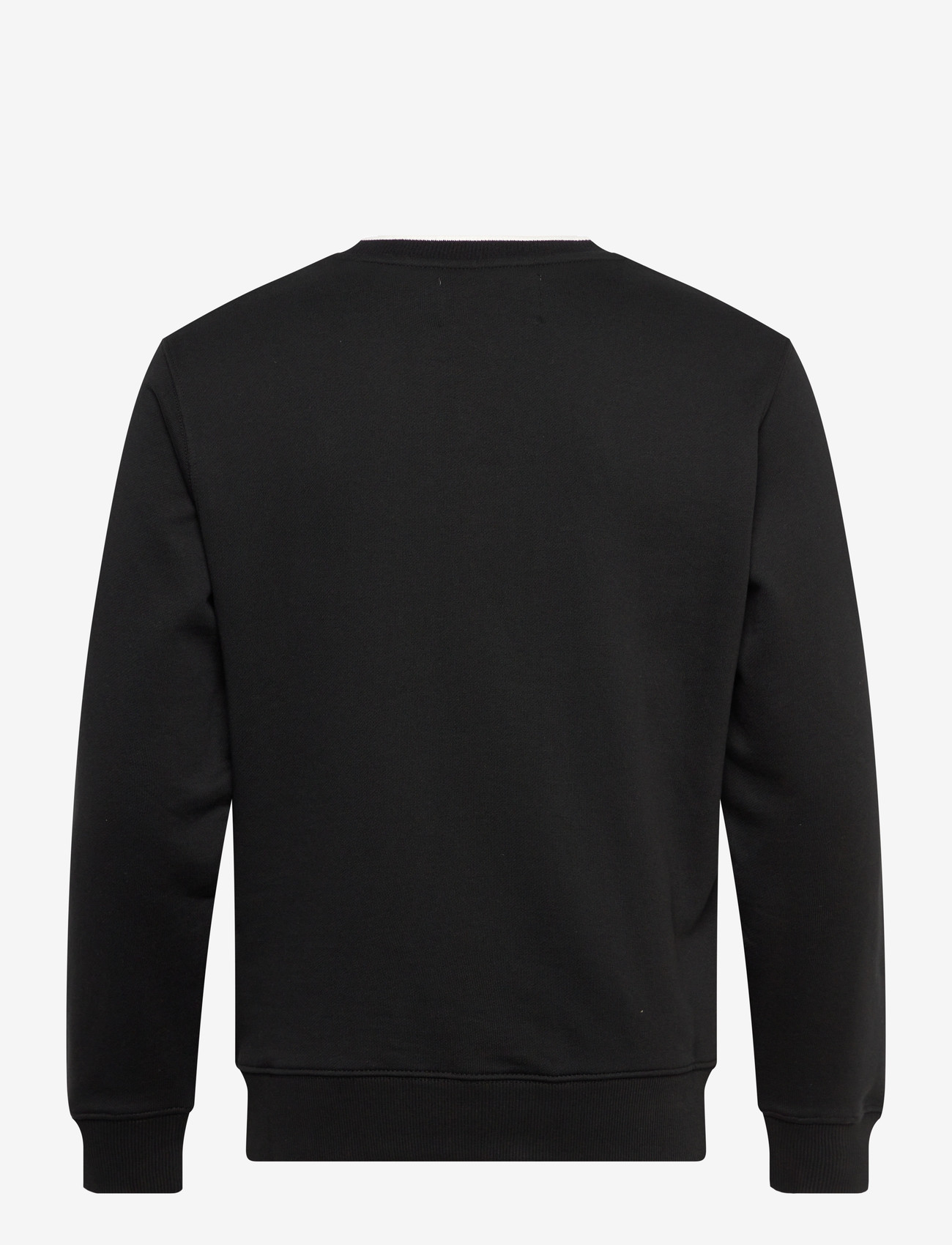 Replay - Jumper REGULAR  FLEECE TOBACCO - sweatshirts - black - 2