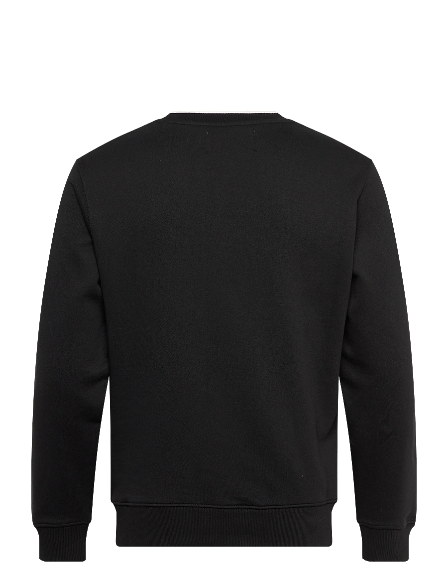 Replay - Jumper REGULAR FLEECE TOBACCO - sweatshirts - black - 2
