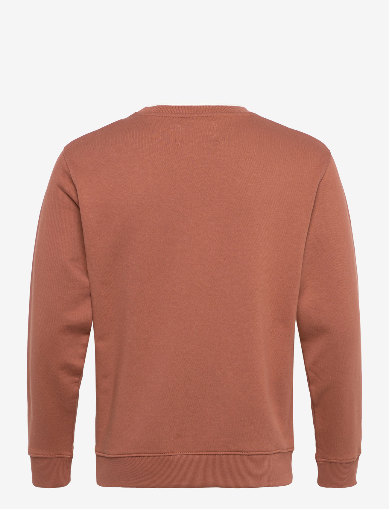 Replay - Jumper REGULAR  FLEECE TOBACCO - sweatshirts - brown - 2