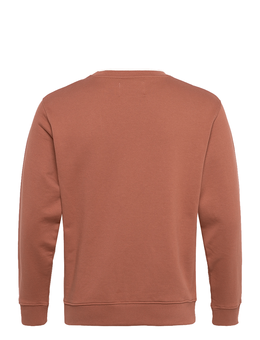 Replay - Jumper REGULAR FLEECE TOBACCO - dressipluusid - brown - 2