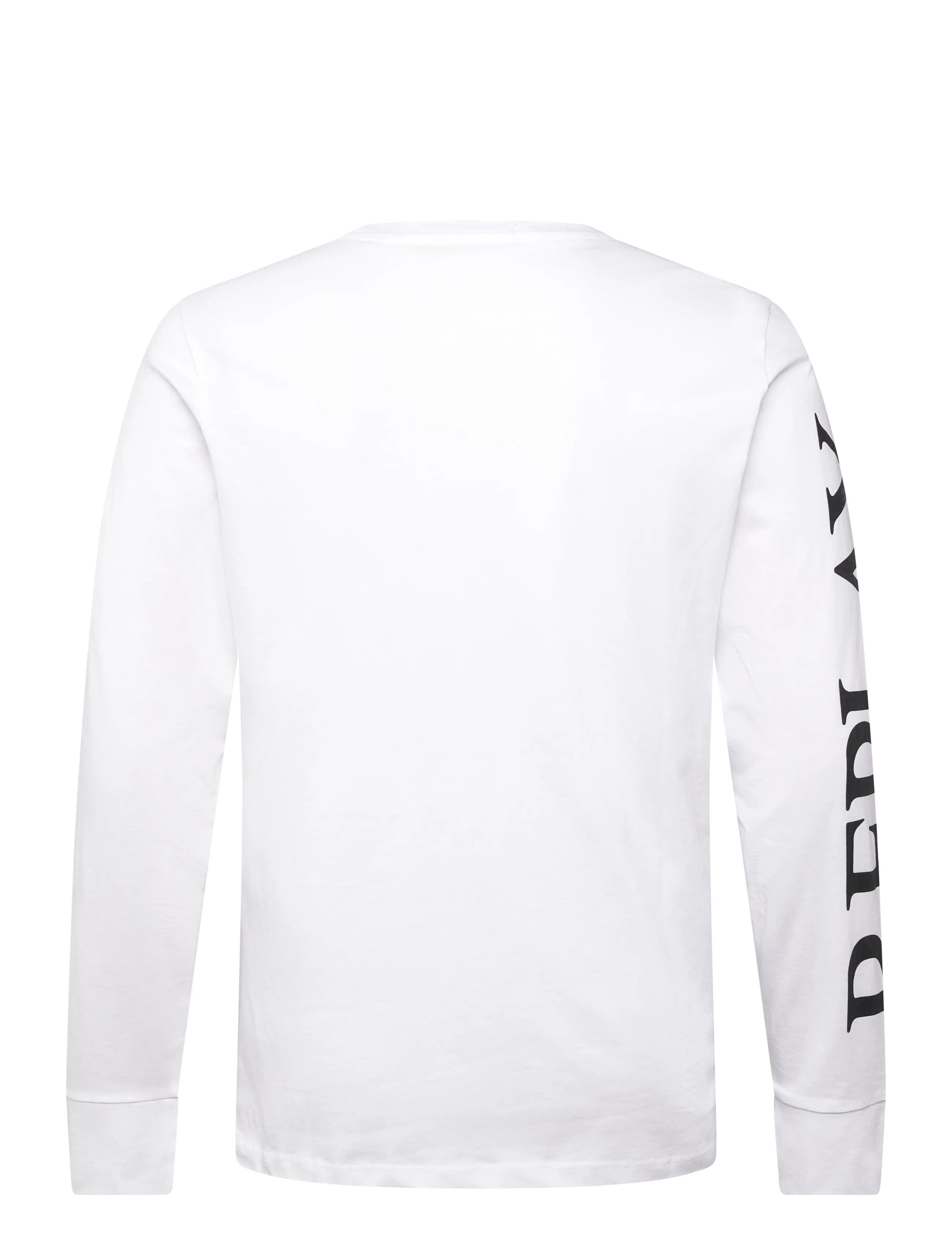 Replay - Long-sleeved t-shirt REGULAR - langærmede t-shirts - white - 2