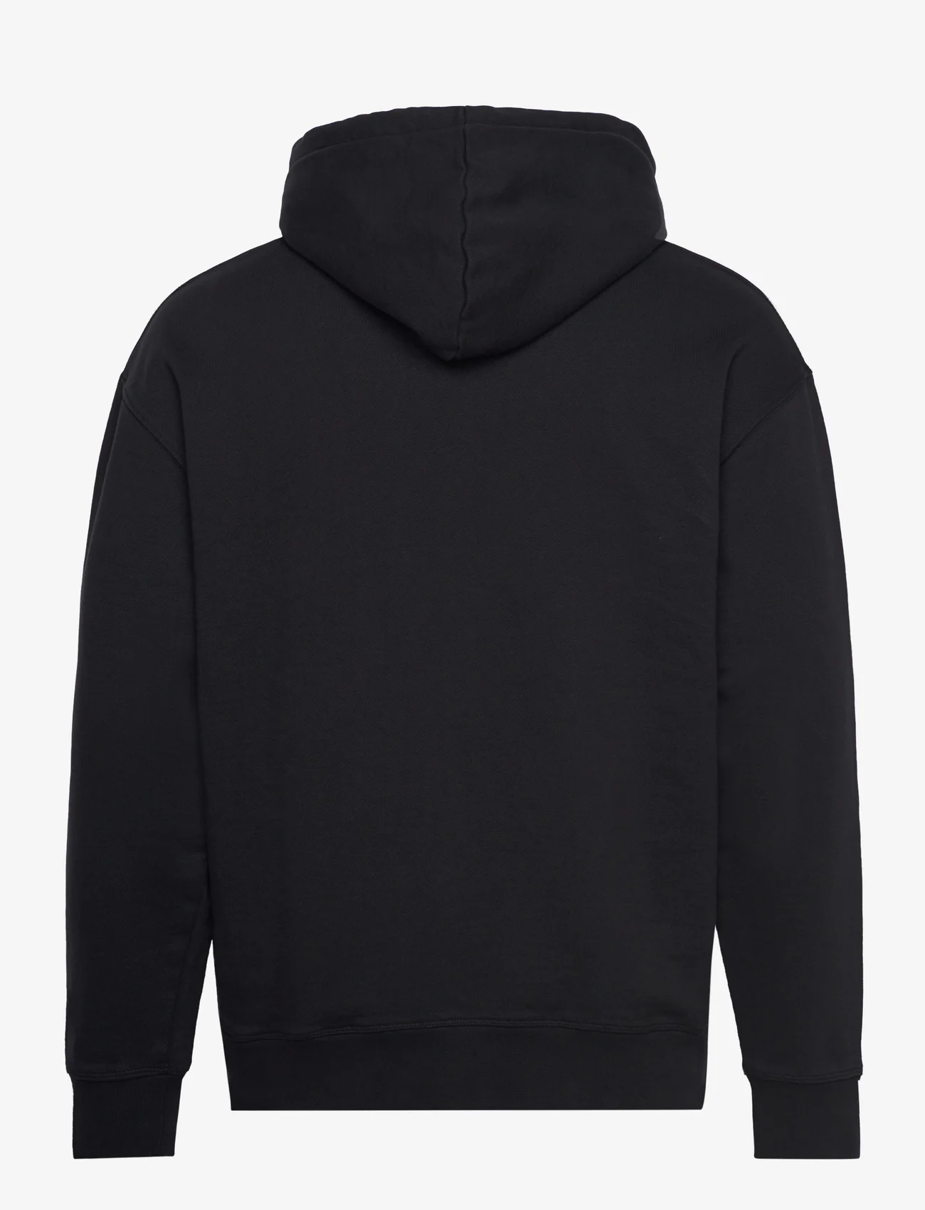 Replay - Jumper RELAXED PURE LOGO - hoodies - black - 1