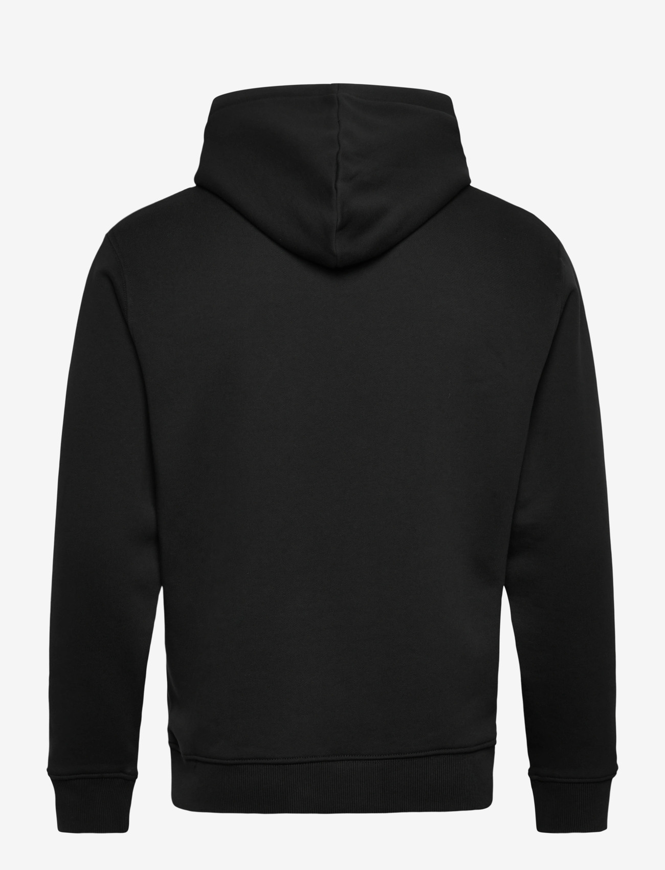 Replay - Jumper REGULAR - sweatshirts - black - 1