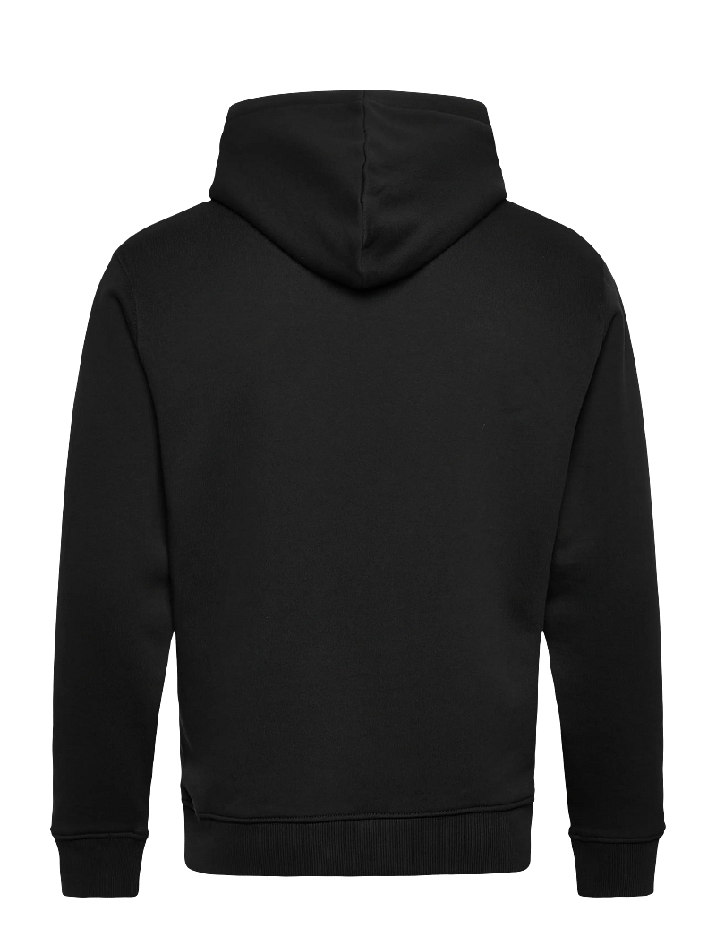 Replay - Jumper REGULAR - kapuutsiga dressipluusid - black - 1