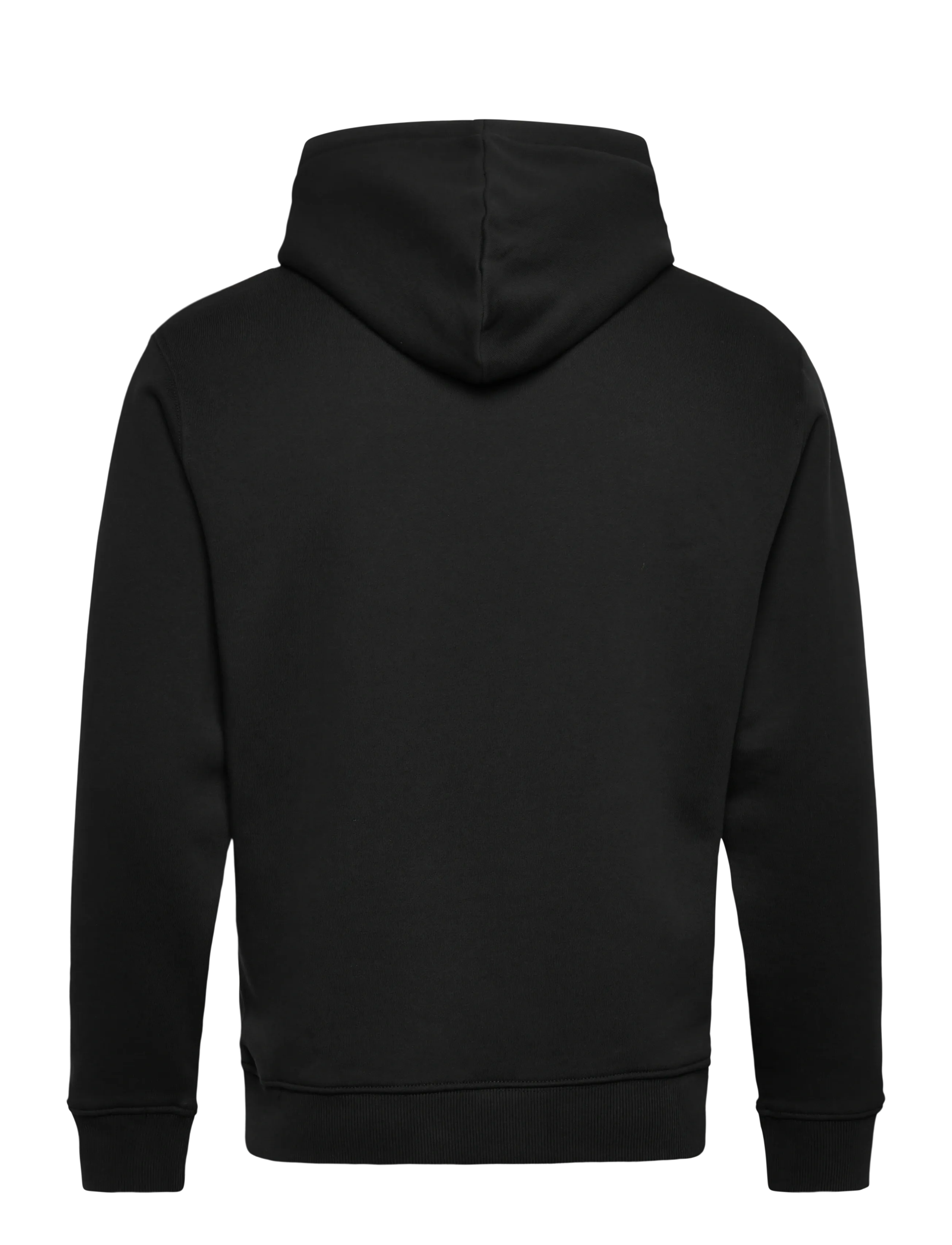 Replay - Jumper REGULAR - sweatshirts - black - 1