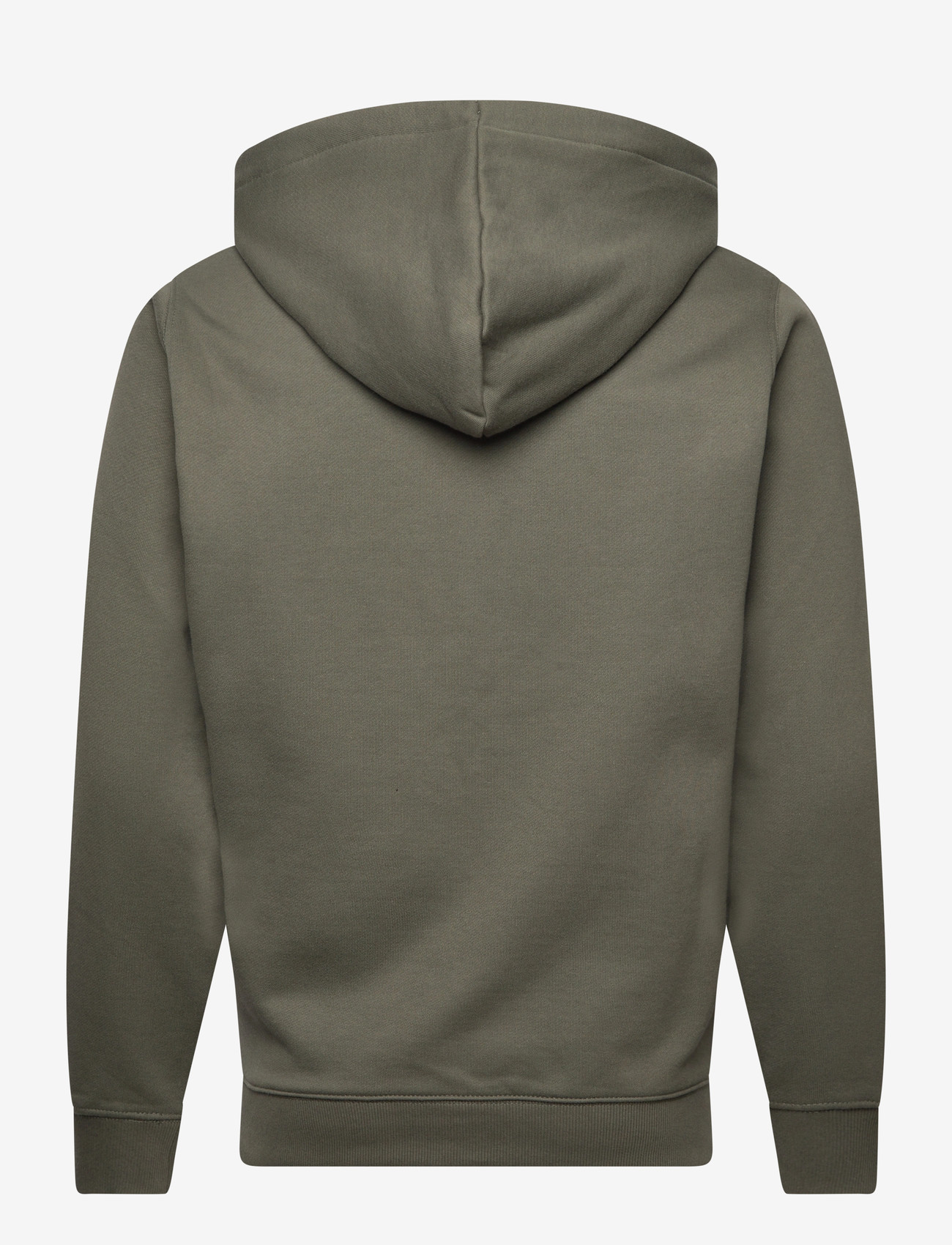 Replay - Jumper REGULAR - sweatshirts - khaki green - 1