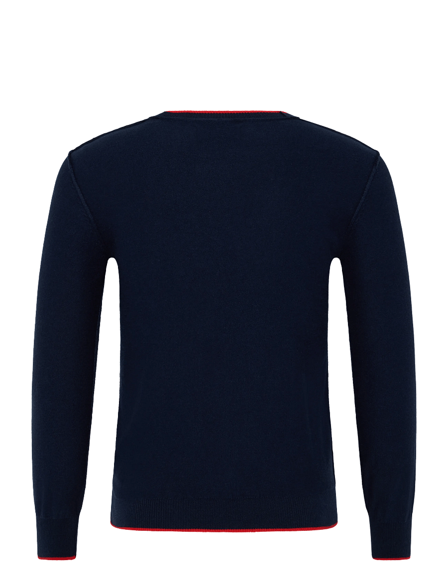 Replay - NATURAL COMPONENT Sweater - blue - 1