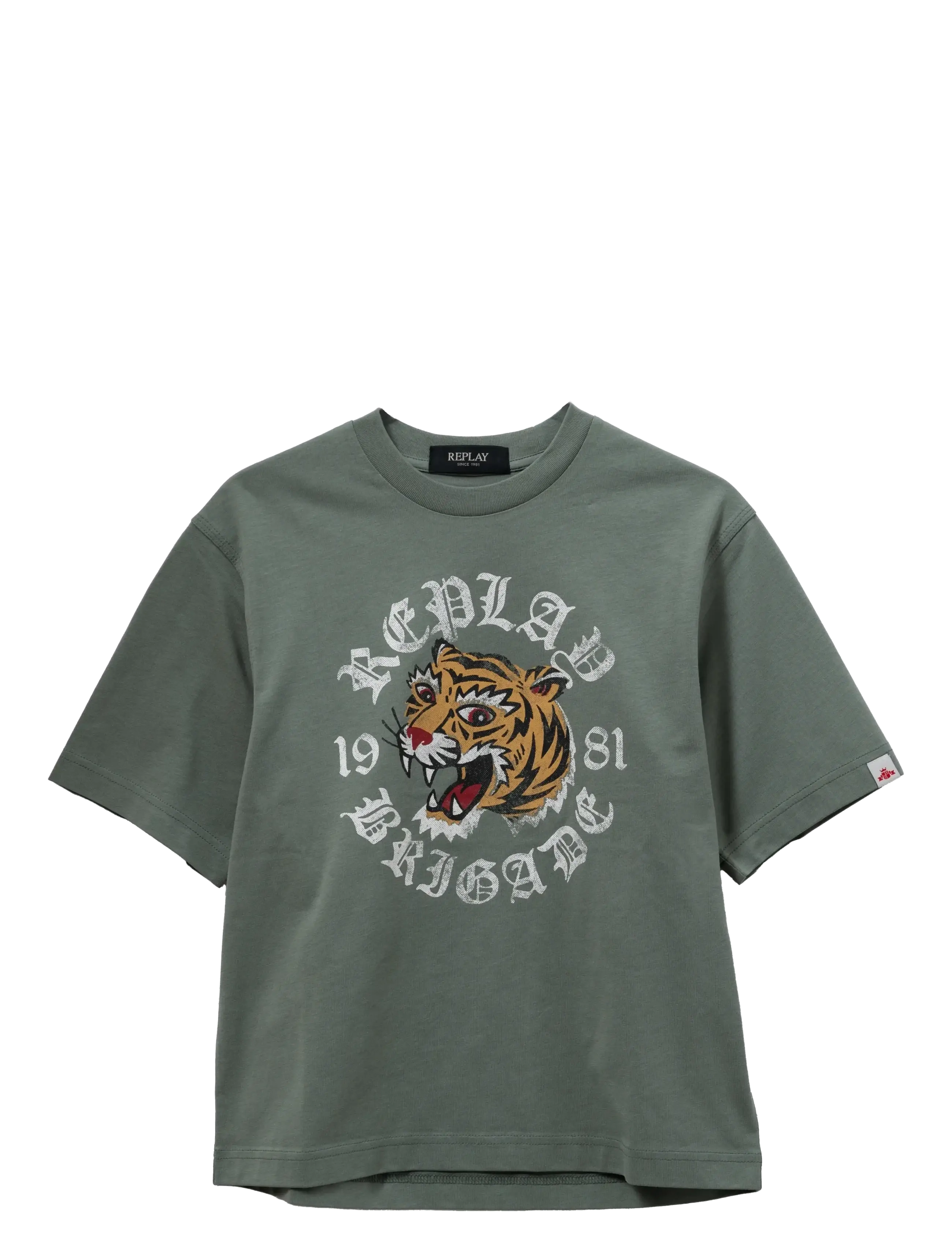 REPLAY Over Jersey T-Shirt Grün - 12 A - Kinder