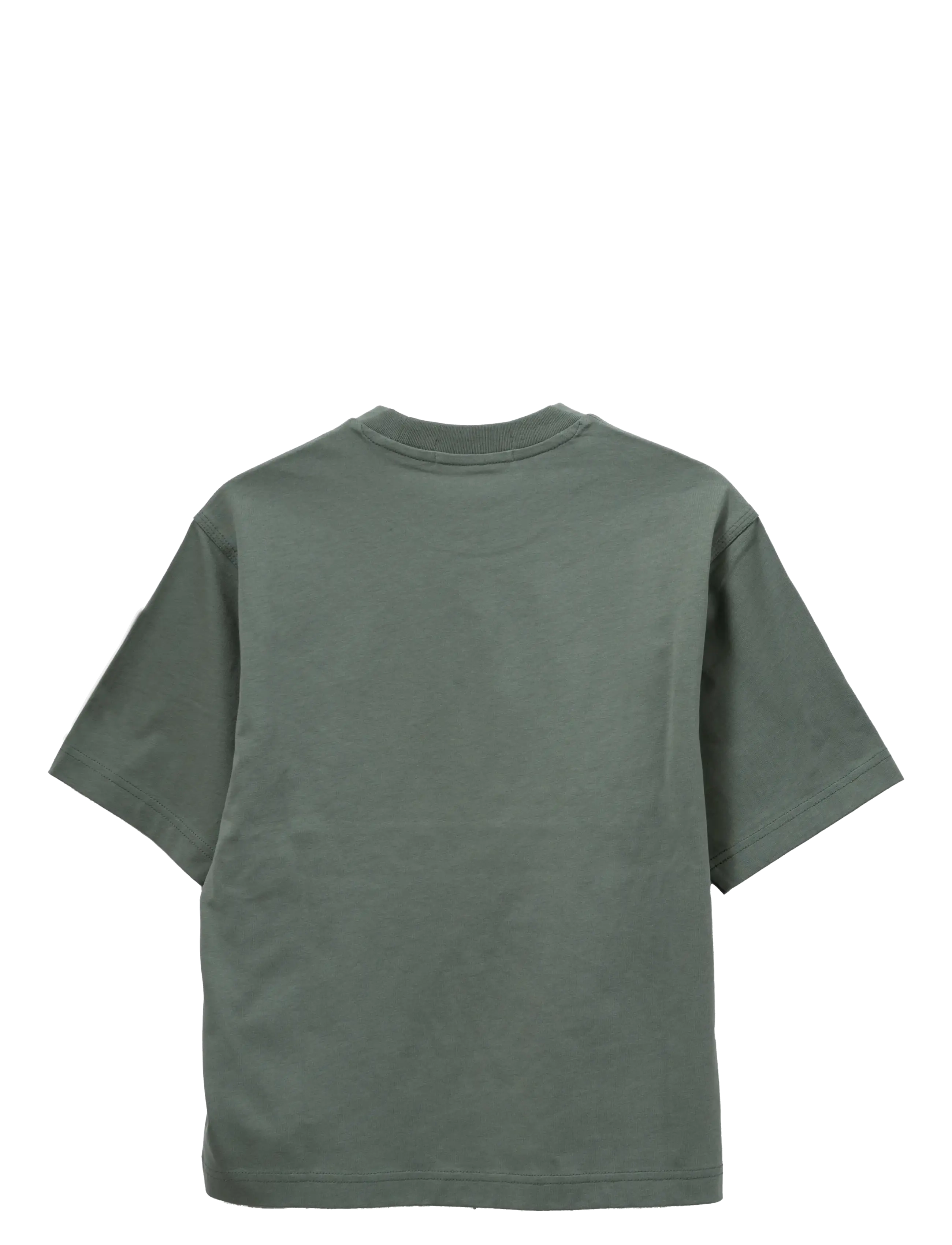 Replay - OVER   JERSEY T-Shirt - kortærmede t-shirts - green - 1