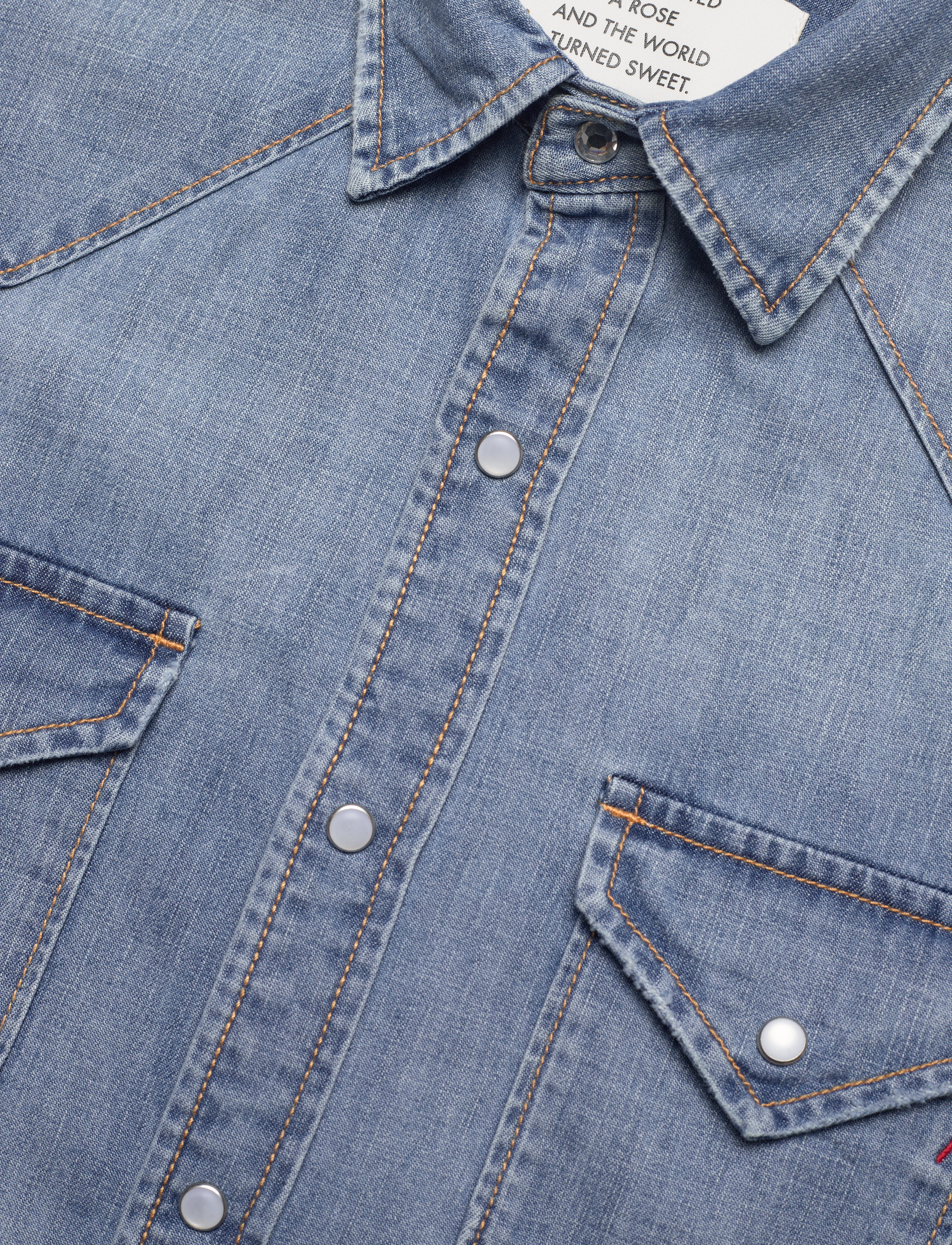 Replay - Shirt BOYFIT Rose Label Pack - blue - 3