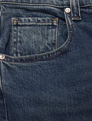Replay - MAIJKE Trousers Rose Label Pack - sirge säärega teksad - blue - 2