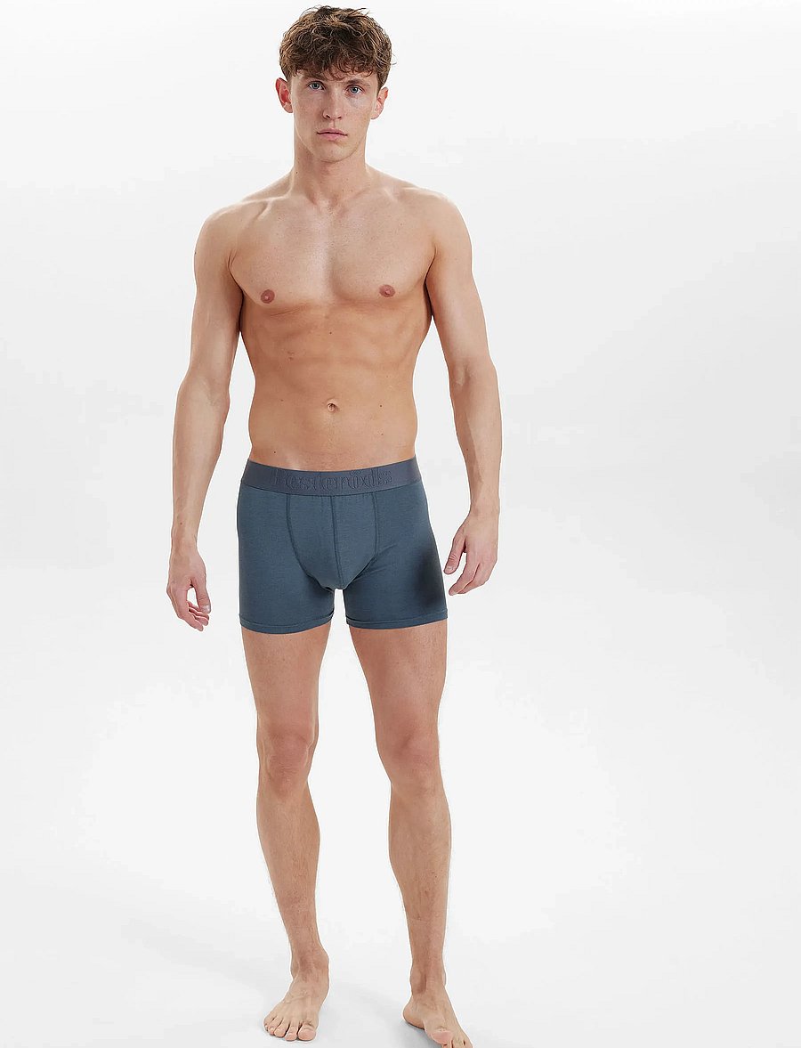 Resteröds - RTGunnar Bamboo 3-pack - multipack underpants - multi49 - 3